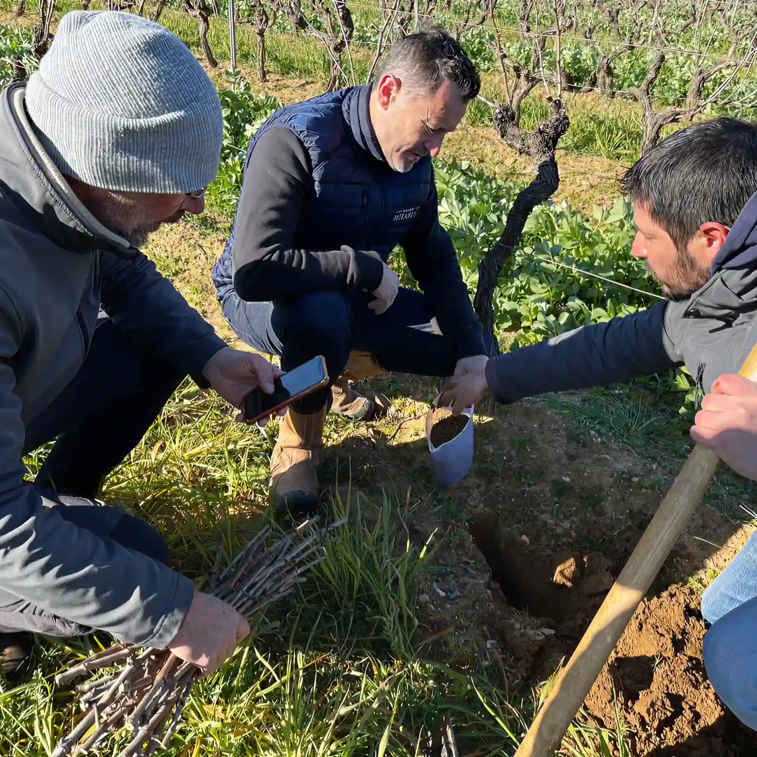 People kneeling down in a vineyard testing the soil