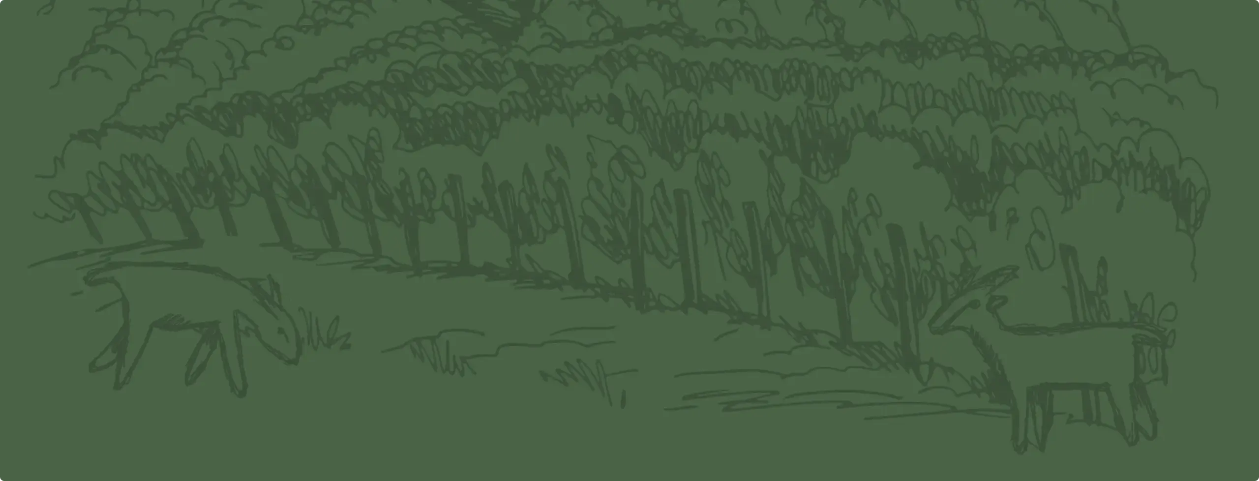 Crop linework bg